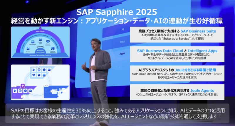 SAP 1.png